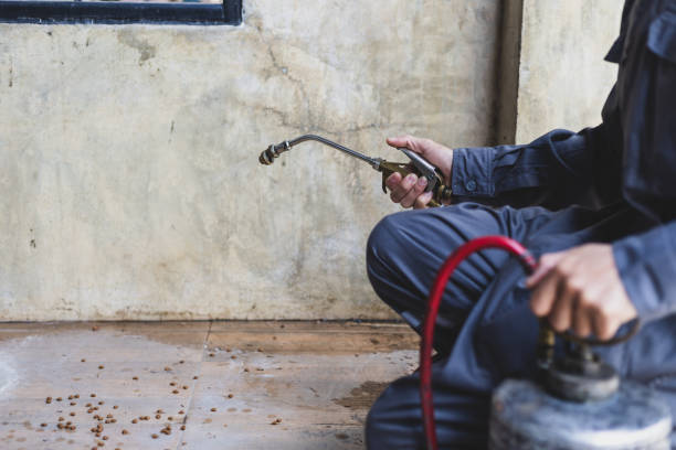 Best Exterminator Services  in Aventura, FL